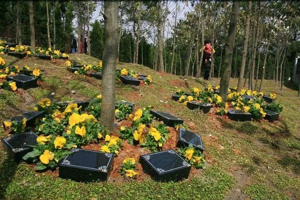 北京生态葬有哪些葬式？树葬、壁葬、草坪葬都是怎样的葬法？