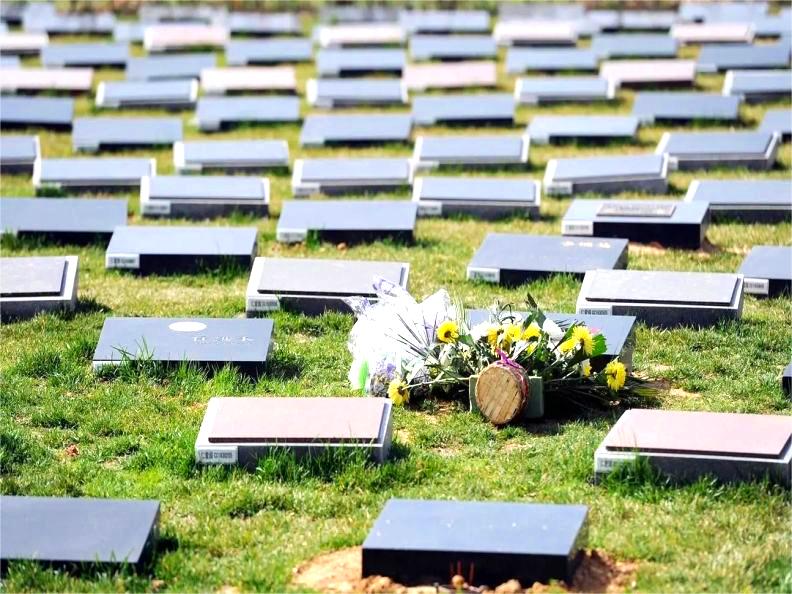 什么是公益性墓地？什么是经营性墓地？