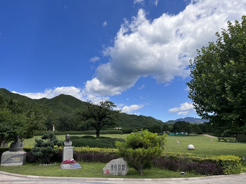 674c02e847df5.jpg 12.jpg