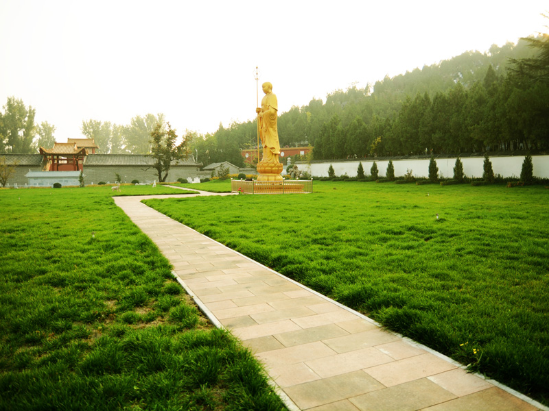 674c0312ad663.jpg 67230dd2d1af5.jpg