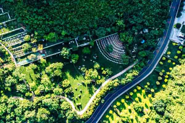 树葬公墓与普通公墓的区别