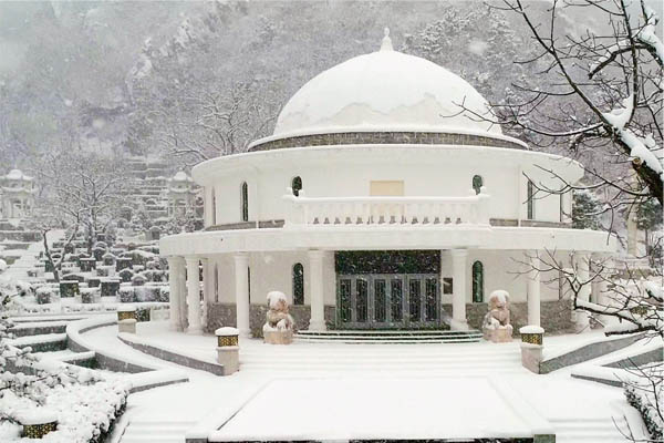 北京树葬价格概览：参考售价在1-5万元之间