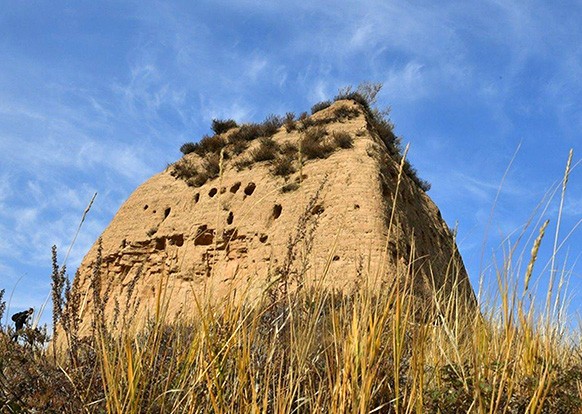 中华永久陵园环境